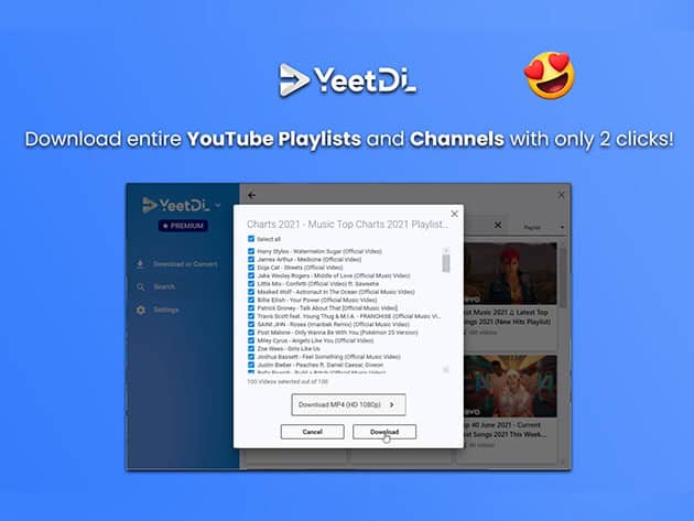 YeetDL Video Downloader Lifetime Subscription Deal 4