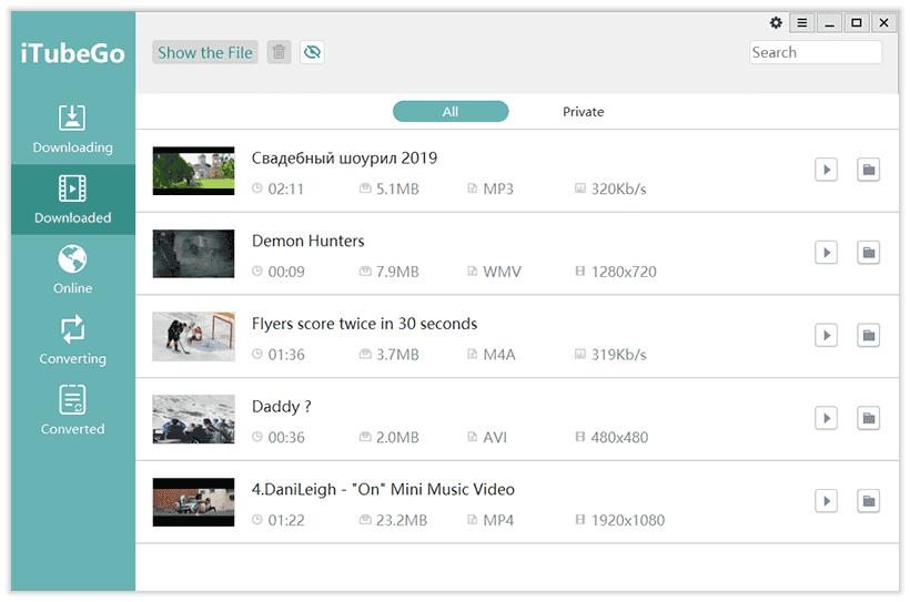 iTubeGo Dashboard Overview 6