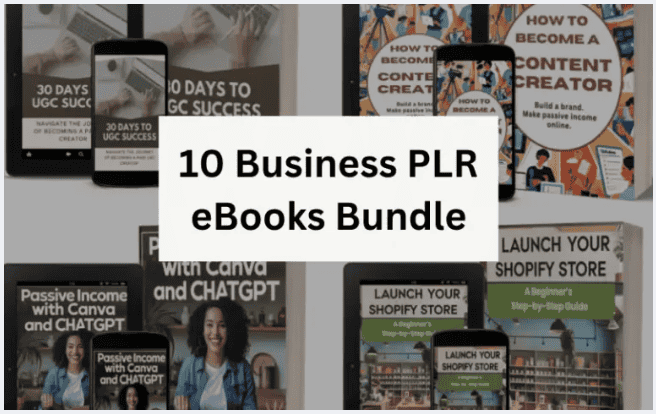 10 Business PLR eBooks Bundle 1