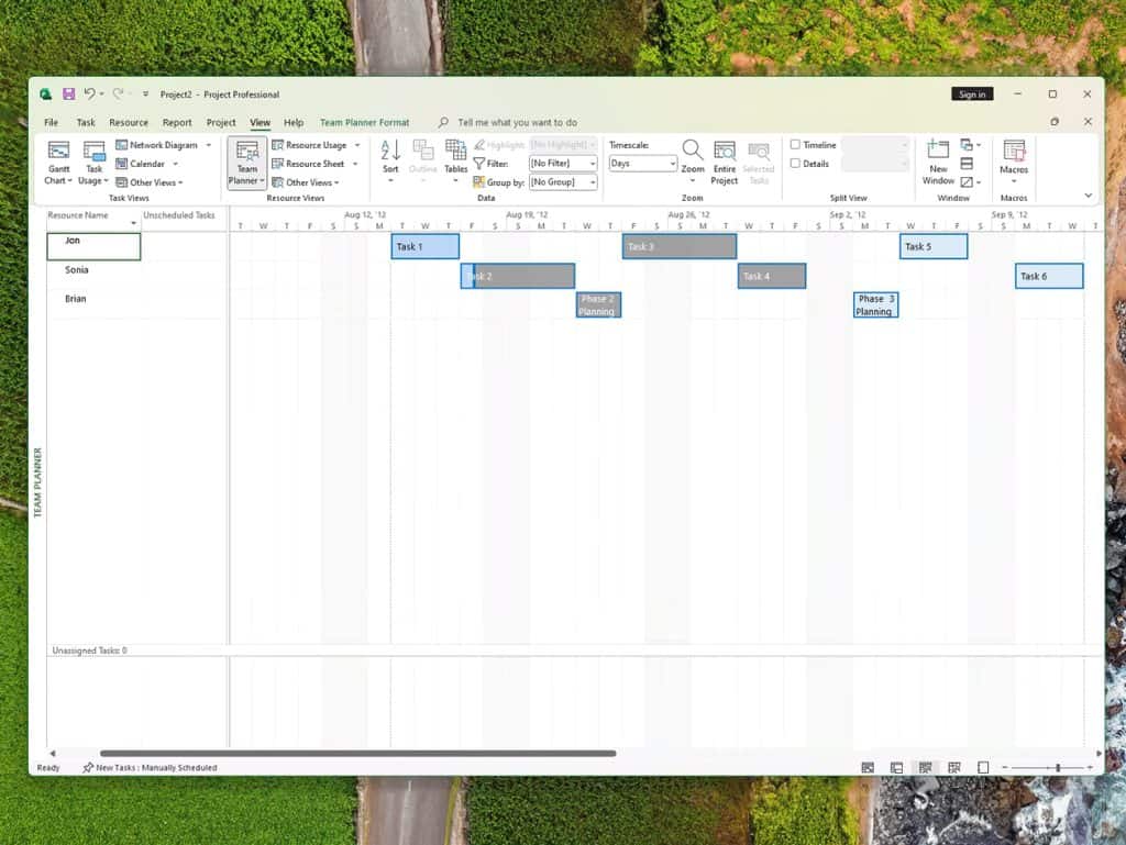 Microsoft Project Professional 2024 Lifetime Deal 5