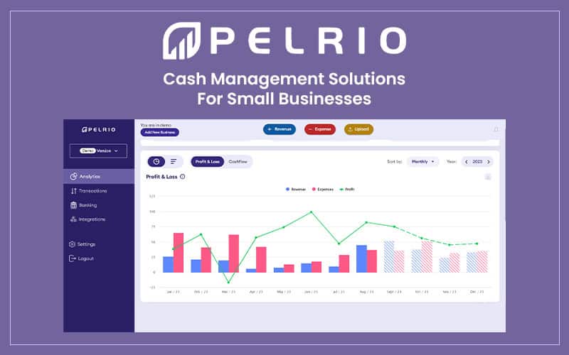 Pelrio Cashflow Management Software Lifetime Deal 1