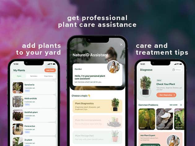 Plantum AI Plant Identifier Premium Plan For iOS Only Lifetime Deal 2