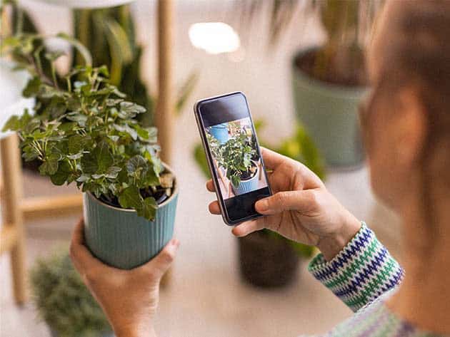Plantum AI Plant Identifier Premium Plan For iOS Only Lifetime Deal 3