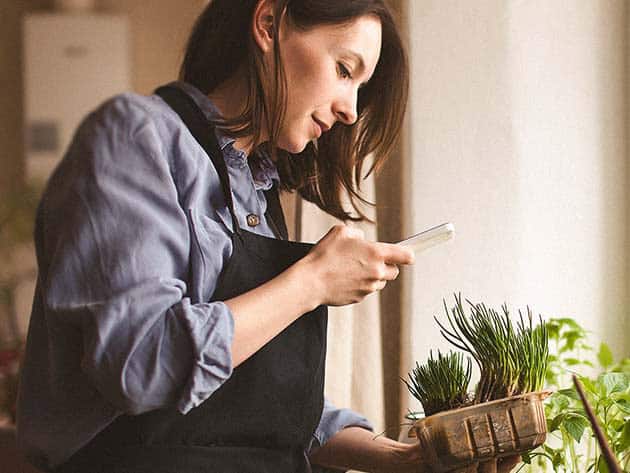 Plantum AI Plant Identifier Premium Plan For iOS Only Lifetime Deal 5
