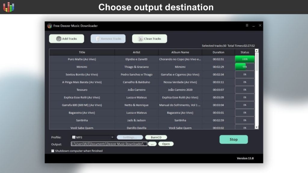 Deezer Music Downloader Pro Dashboard Image 3