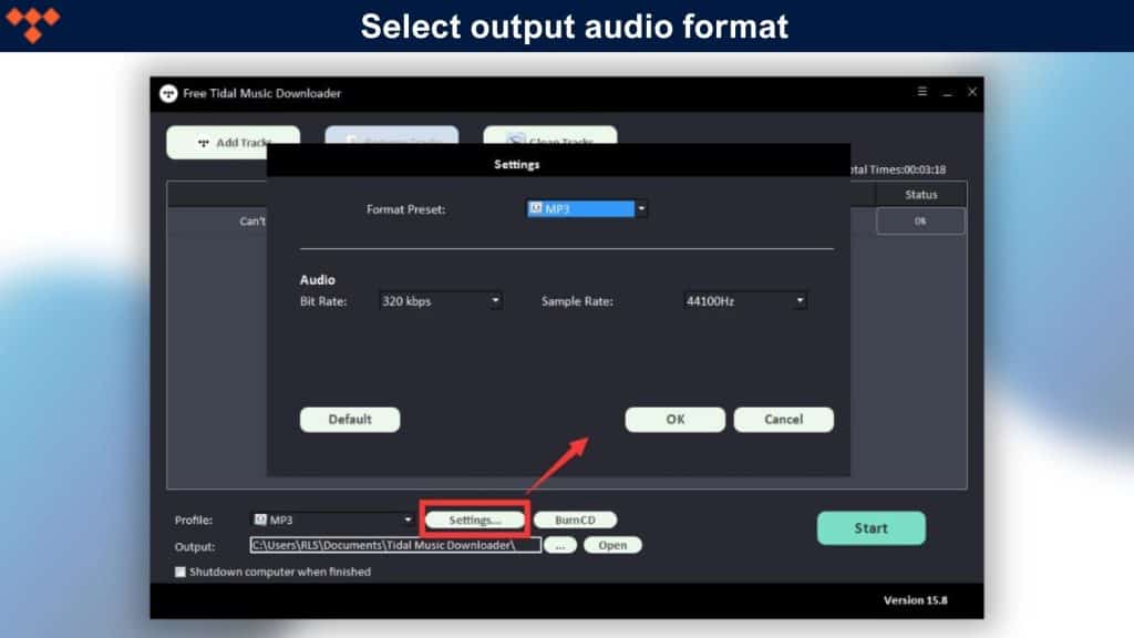 Tidal Music Downloader Audio Format