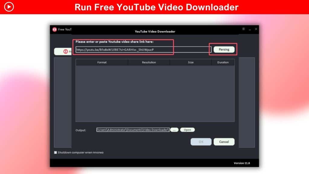 YouTube Video Downloader Dashboard Image 2