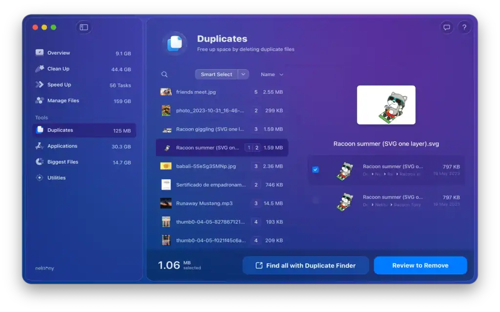 Remove Duplicate Files