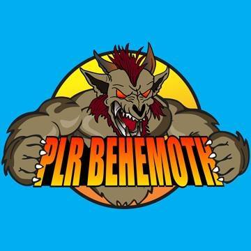 PLR Behemoth Lifetime PLR Deal
