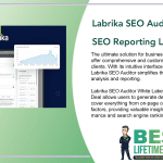 Labrika SEO Auditor White Label SEO Reporting Featured Image