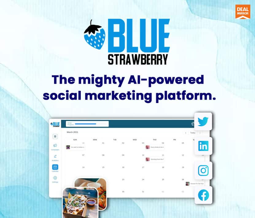 Blue Strawberry AI-Powered Social Marketing Platform Lifetime Deal