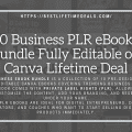 10 Business PLR eBooks Bundle Fully Editable on Canva Lifetime Deal