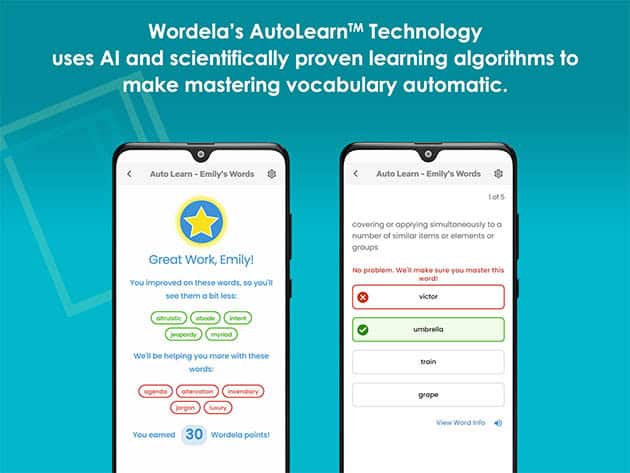 Wordela Vocabulary Builder 1