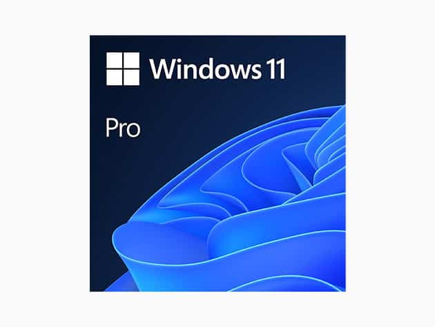 Windows 11